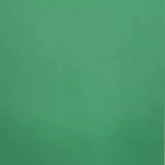 Színes fénymásolópapír élénk zöld 10 ív