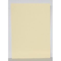 Kétoldalas karton A/4 krém bézs