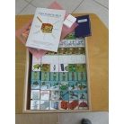 Okoskocka Vizuális észlelés iskolásoknak