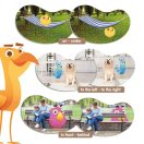 Madarak topológia Térbeli tájékozódás