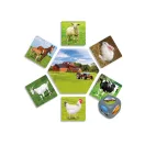 Hol élnek az állatok?