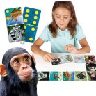 Domino Veszélyeztetett állatok