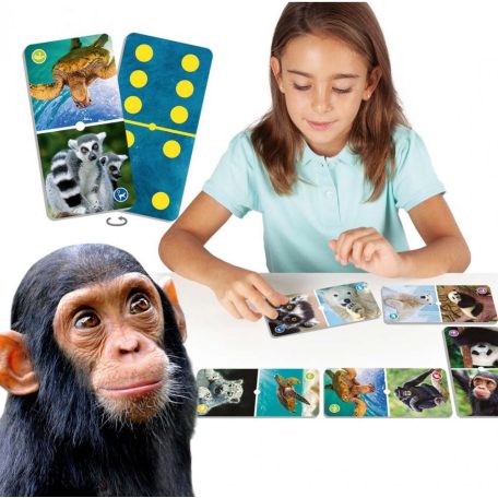 Domino Veszélyeztetett állatok