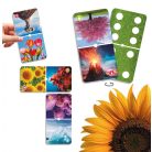 Domino Természeti csodák