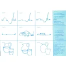 Mit gondolsz? 1. Összefüggés