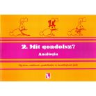 Mit gondolsz? 2. Analógia