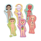 Ismerd meg az emberi testet