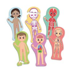 Ismerd meg az emberi testet