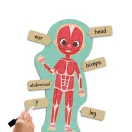 Ismerd meg az emberi testet