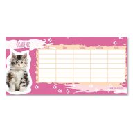 Ars Una órarend kismacska