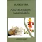 A gyermekkori dadogásról