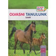 Olvasni tanulok Lovak És már ezt is tudom