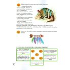 Mesefalatka Furfangos mesék állati hősökről