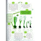 Okosító zöld könyv