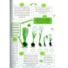 Okosító zöld könyv