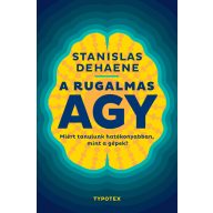 A rugalmas agy