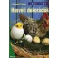 Húsvéti dekorációk Színes ötletek