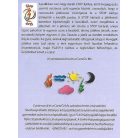 Flash kártyajáték