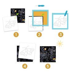 Lyukasztós képkészítés Éjszakai állatok