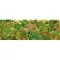 Természetben művész puzzle 1000 darabos