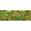 Természetben művész puzzle 1000 darabos