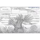 Névszók I. fixi tanulói munkalap 