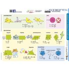 Kerület- és területszámítások, négyszögek csoportosítása fixi tanulói munkalap