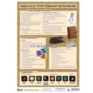   Szexuális úton terjedő betegségek, egészséges életmód fixi tanulói munkalap 