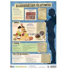   Szexuális úton terjedő betegségek, egészséges életmód fixi tanulói munkalap 