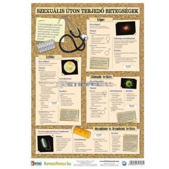   Szexuális úton terjedő betegségek, vírusok fixi tanulói munkalap 