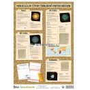 Szexuális úton terjedő betegségek, vírusok fixi tanulói munkalap 