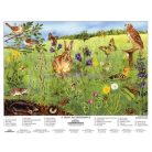 A mező életközössége fixi tanulói munkalap 