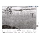 A mező életközössége fixi tanulói munkalap 