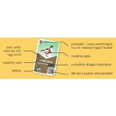 Fészekfoglaló kártyajáték