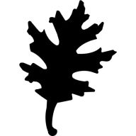 Formalyukasztó 25 mm - Tölgylevél falevél