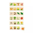 Fejlődés képsorozat