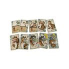 Spicy kártyajáték