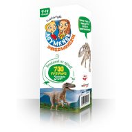 Agymenők kvízkártyák - Dinoszauruszok