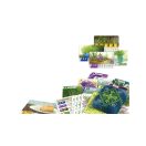 Fűszerkert kártyajáték