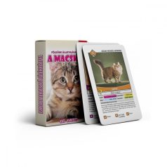 A macskák ismeretterjesztő kártyajáték