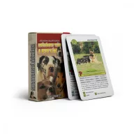 A kutyák ismeretterjesztő kártyajáték