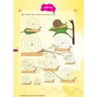 Látogatás a vonalak birodalmába 