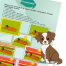 Látogatás a tudás birodalmába 2. Kalandpark