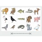 DIFER Kártyagyűjtemény a gondolkodás fejlesztéséhez