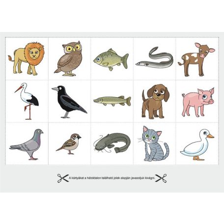 DIFER Kártyagyűjtemény a gondolkodás fejlesztéséhez