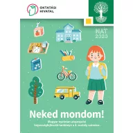   Neked mondom! 4. osztály Magyar nyelvtan-anyanyelvi képességfejlesztő tankönyv 