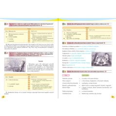 Fogalmazás 5. osztály