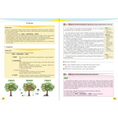 Fogalmazás 6.  osztály