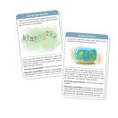 Gondolat Stop 60 játékos gyakorlatkártya