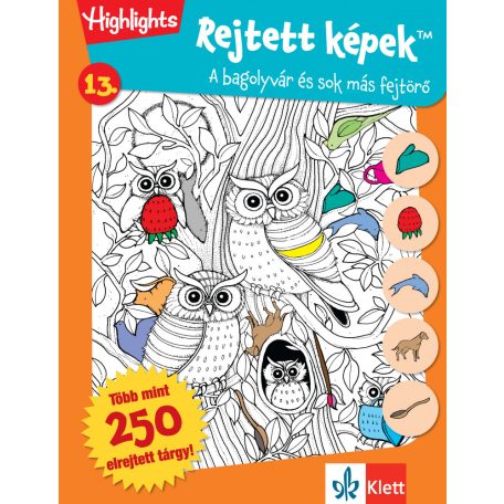 Rejtett képek 13. Bagolyvár és sok más fejtörő